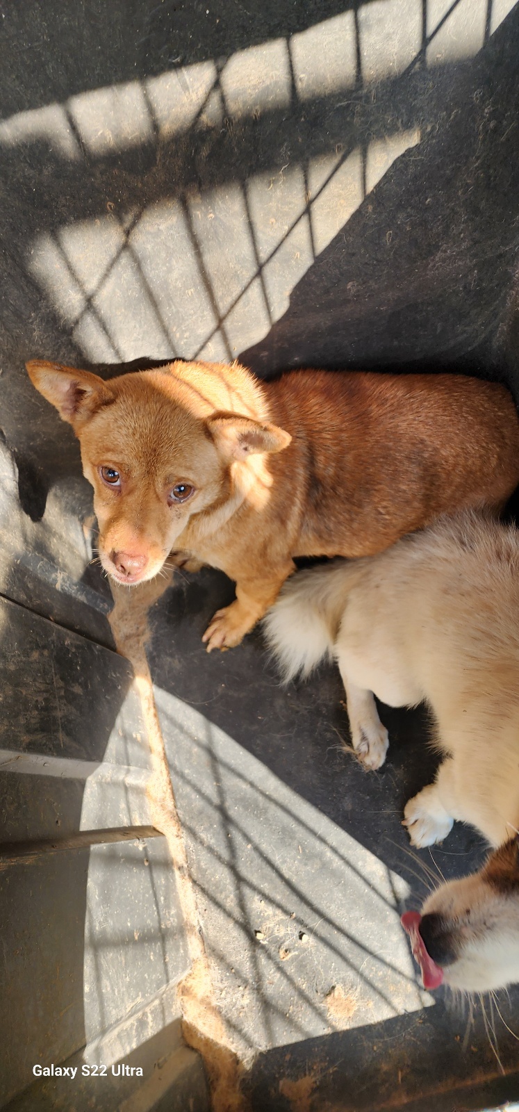 전북말산업복합센터_445471202500438